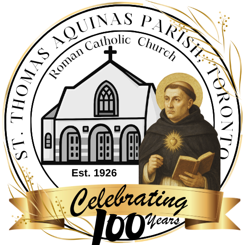 STA 100th years Logo